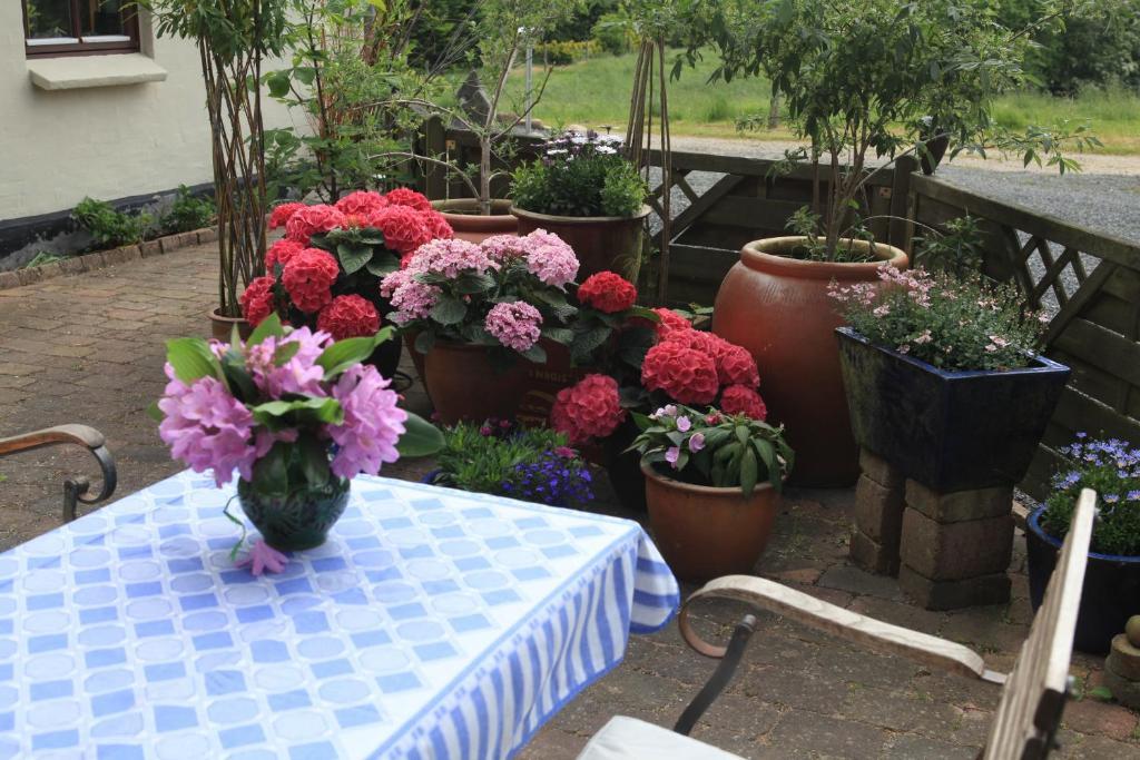 Bed&Breakfast Horsens Exterior foto